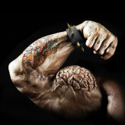 Muscle_thumbnail